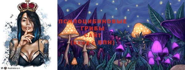 мдпв Армянск
